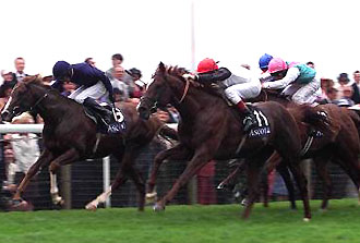 horse racing index horse racing index